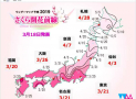 日本櫻花季 – 2020 櫻花情報，開花時間，京都 大阪  東京 櫻花景點交通，夜櫻資訊