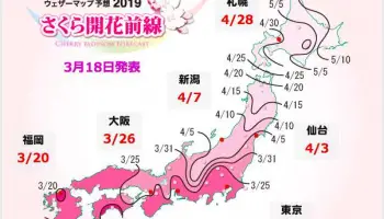 日本櫻花季 – 2020 櫻花情報，開花時間，京都 大阪  東京 櫻花景點交通，夜櫻資訊